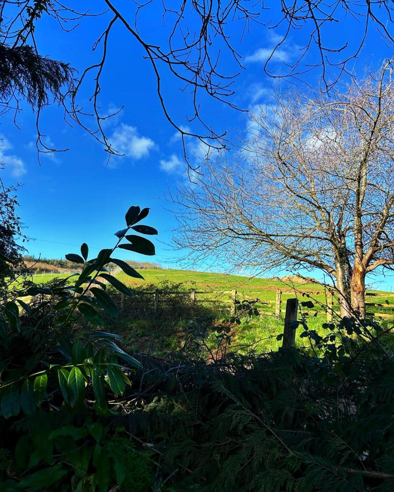 Sundial Cottage Newton Abbot Bagian luar foto