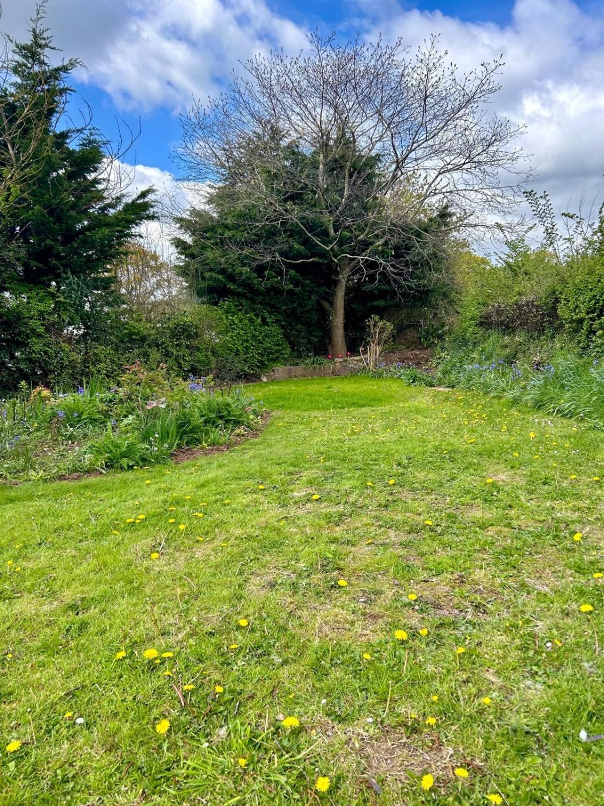 Sundial Cottage Newton Abbot Bagian luar foto