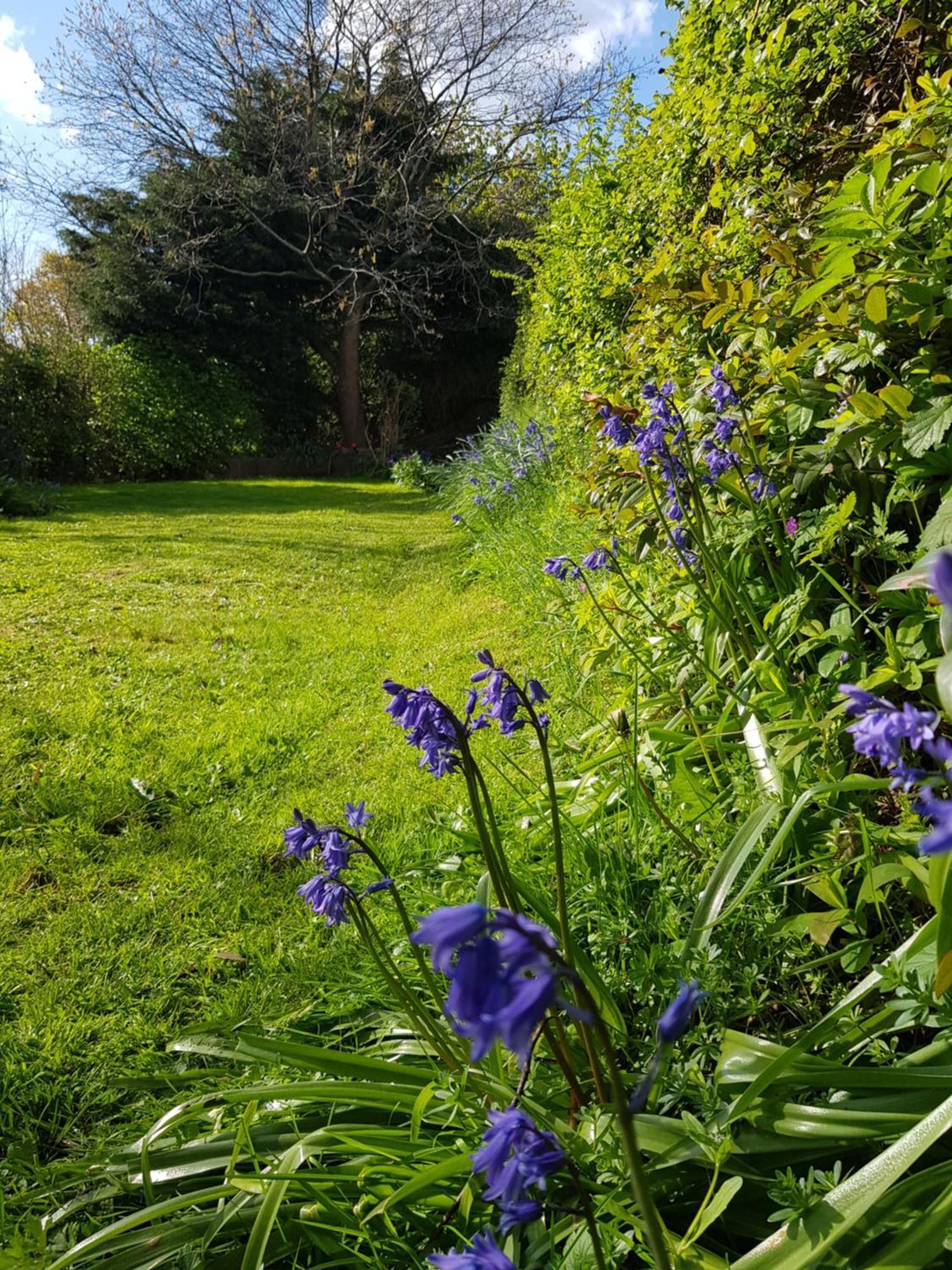 Sundial Cottage Newton Abbot Bagian luar foto